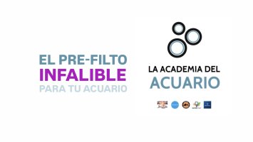 PRE-FILTRO INFALIBLE