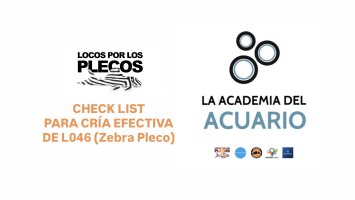 CHECK LIST PARA CRIAR L046