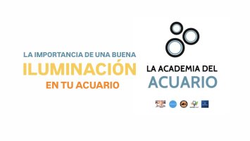 LA MEJOR ILUMINACIÓN PARA TU ACUARIO