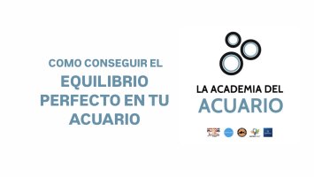 CÓMO CONSEGUIR EL EQUILIBRIO PERFECTO EN TU ACUARIO