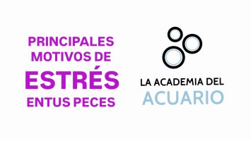 PRINCIPALES MOTIVOS DE ESTRÉS EN TUS PECES