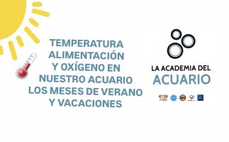 TEMPERATURA ALIMENTACIÓN Y OXÍGENO EN VERANO 